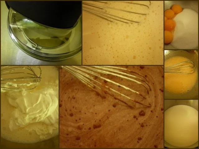 Vanille- und Schokoladeneis - Rezept - Bild Nr. 2