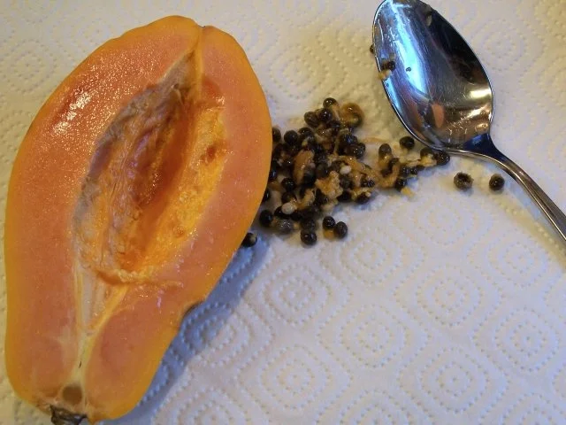 Melonensalat mit Knoblauchgarnelen - Rezept - Bild Nr. 3