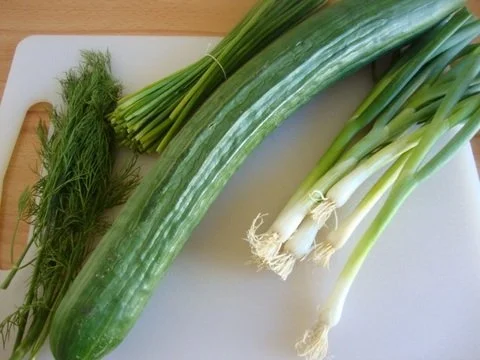 Kalte Gurkensuppe - Rezept - Bild Nr. 2