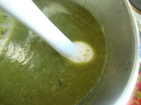 Kalte Gurkensuppe - Rezept - Bild Nr. 6