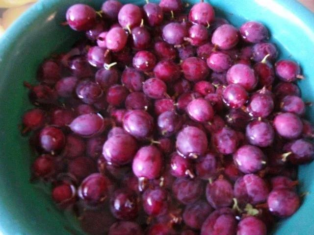 rotes Stachelbeergelee - Rezept - Bild Nr. 2