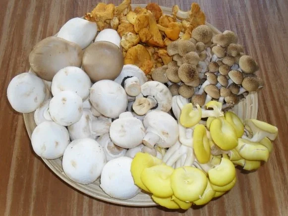 Rezept: Förster Liesel's Geheimnis Bild Nr. 2 Förster Liesel's Geheimnis - Rezept - Bild Nr. 2