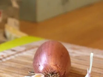Spaghetti mit Fenchel und Tomaten - Rezept - Bild Nr. 6