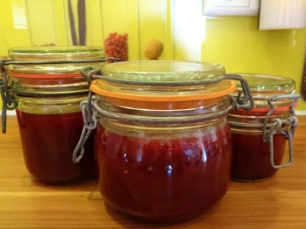 Rezept: Johannisbeer - Chili - Chutney Johannisbeer - Chili - Chutney - Rezept