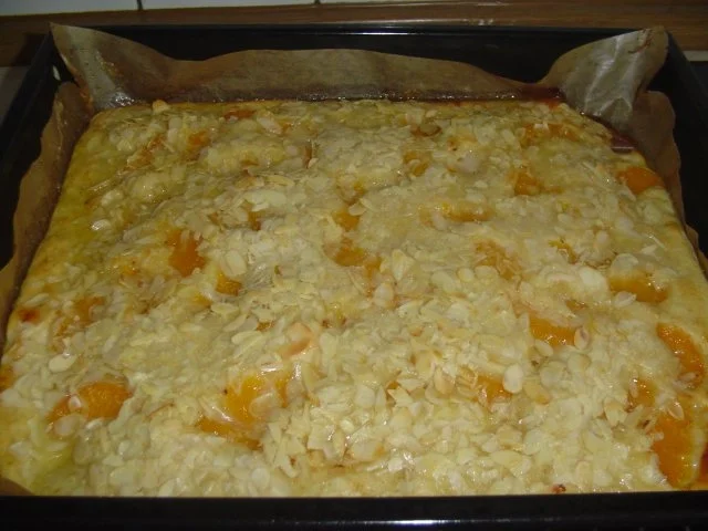 Rezept: Blechkuchen Bild Nr. 7 Blechkuchen - Rezept - Bild Nr. 7