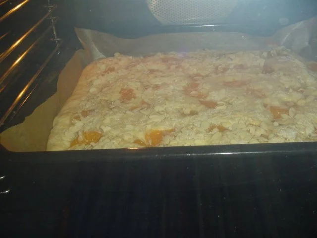 Rezept: Blechkuchen Bild Nr. 8 Blechkuchen - Rezept - Bild Nr. 8