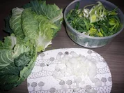 Lamm im Wirsingmantel - Rezept