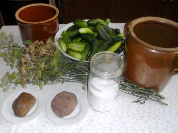 "Oma - Friede`s" Salzgurken, im Steintopf eingelegt. (Rzpt. um 1900) - Rezept - Bild Nr. 10