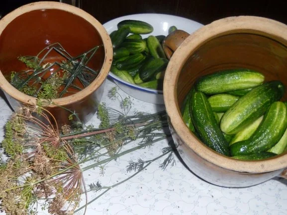 "Oma - Friede`s" Salzgurken, im Steintopf eingelegt. (Rzpt. um 1900) - Rezept - Bild Nr. 11