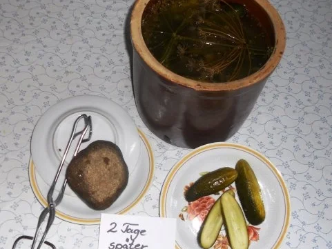 "Oma - Friede`s" Salzgurken, im Steintopf eingelegt. (Rzpt. um 1900) - Rezept - Bild Nr. 16