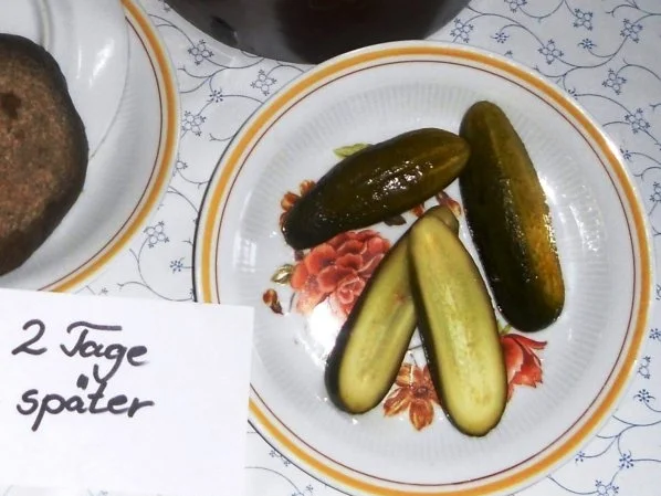 "Oma - Friede`s" Salzgurken, im Steintopf eingelegt. (Rzpt. um 1900) - Rezept - Bild Nr. 17