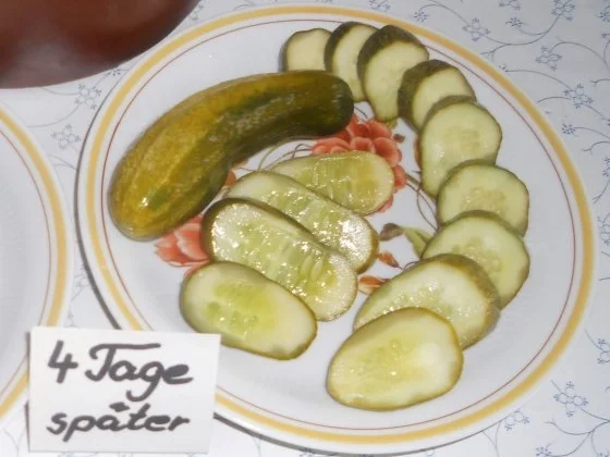 "Oma - Friede`s" Salzgurken, im Steintopf eingelegt. (Rzpt. um 1900) - Rezept - Bild Nr. 19