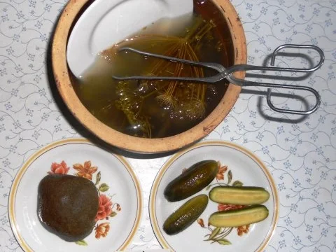 "Oma - Friede`s" Salzgurken, im Steintopf eingelegt. (Rzpt. um 1900) - Rezept - Bild Nr. 20