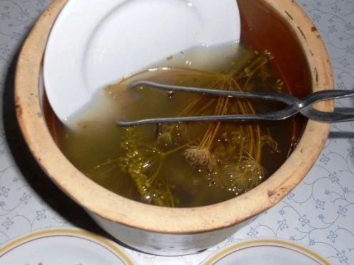 "Oma - Friede`s" Salzgurken, im Steintopf eingelegt. (Rzpt. um 1900) - Rezept - Bild Nr. 21