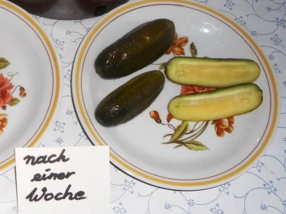 "Oma - Friede`s" Salzgurken, im Steintopf eingelegt. (Rzpt. um 1900) - Rezept - Bild Nr. 22