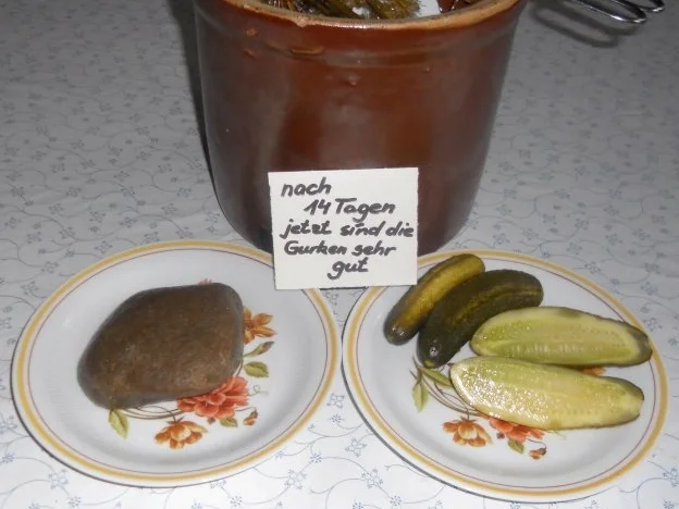 "Oma - Friede`s" Salzgurken, im Steintopf eingelegt. (Rzpt. um 1900) - Rezept - Bild Nr. 23