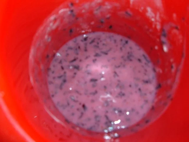 Eis : Heidelbeere mit Zitronenmelisse - Rezept - Bild Nr. 6