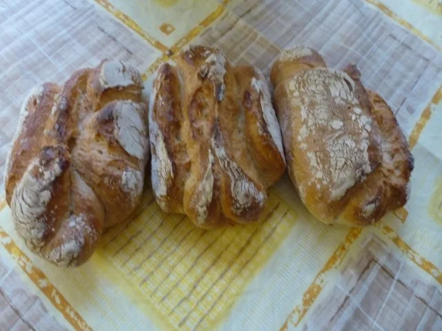 Rezept: Wilde Rauke Burger Bild Nr. 7 Wilde Rauke Burger - Rezept - Bild Nr. 7