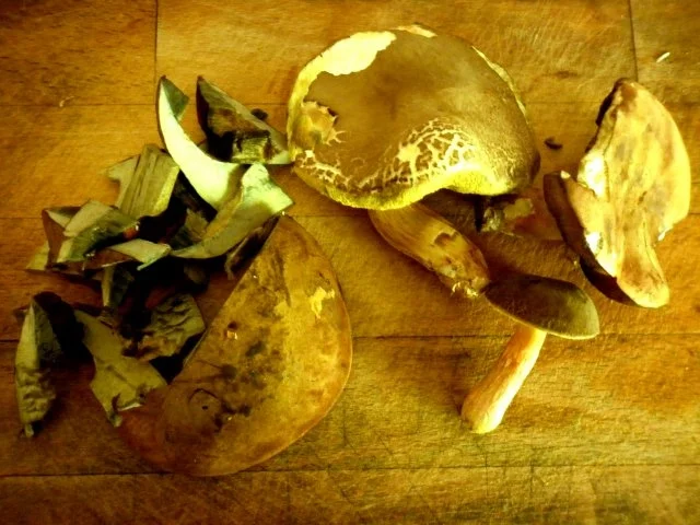 Rezept: Pilz-Reis (Risotto-Art) mit Zucchini Bild Nr. 2 Pilz-Reis (Risotto-Art) mit Zucchini - Rezept - Bild Nr. 2