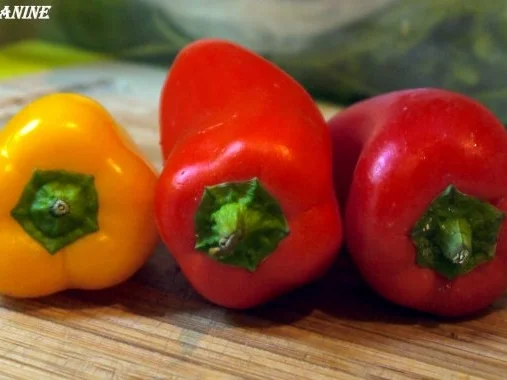 Hähnchenbrust in Pancetta auf sommerlichem Salat - Rezept - Bild Nr. 7