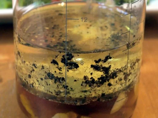 Hähnchenbrust in Pancetta auf sommerlichem Salat - Rezept - Bild Nr. 12