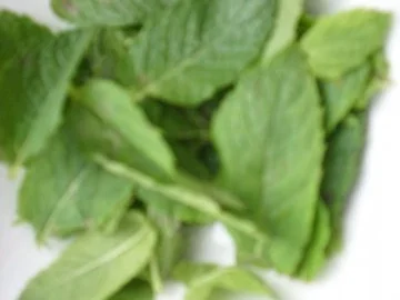 Limoncino- Marmelade mit Minze - Rezept - Bild Nr. 3