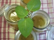 Limoncino- Marmelade mit Minze - Rezept