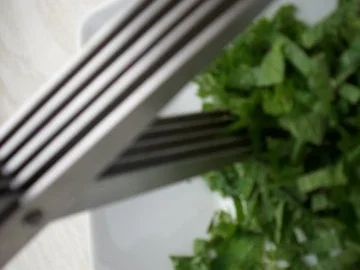 Limoncino- Marmelade mit Minze - Rezept - Bild Nr. 4