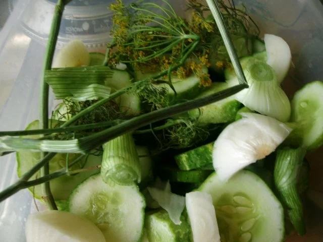 Einmachen - Schnelle Gewürzgurken in Scheiben - Rezept - Bild Nr. 4