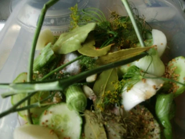 Einmachen - Schnelle Gewürzgurken in Scheiben - Rezept - Bild Nr. 6