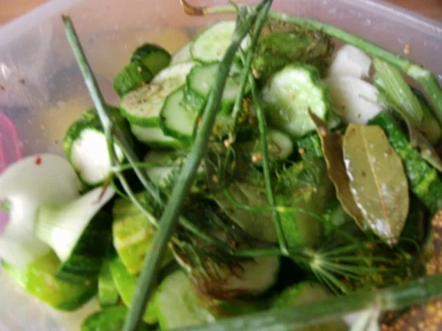 Einmachen - Schnelle Gewürzgurken in Scheiben - Rezept - Bild Nr. 7