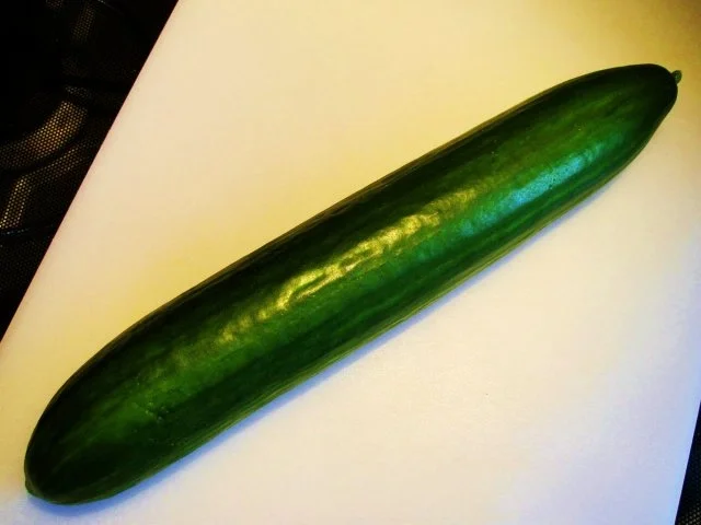 Schüttelgurken ... - Rezept - Bild Nr. 2