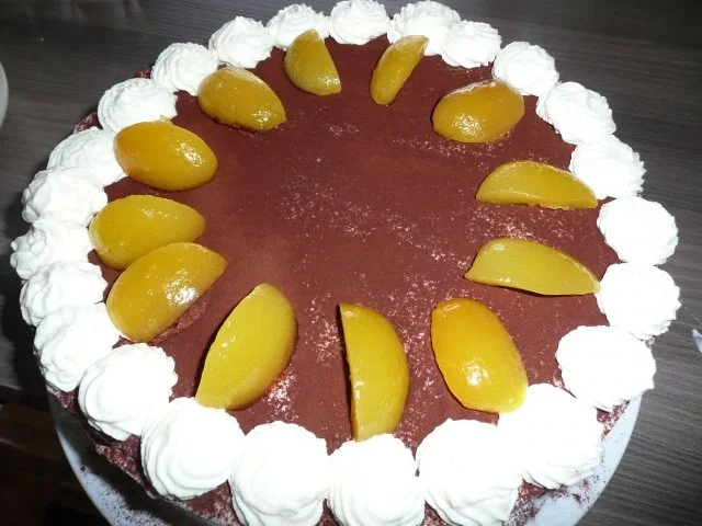 Marillen- Wickeltorte - Rezept