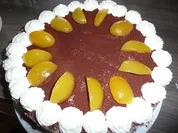 Marillen- Wickeltorte - Rezept