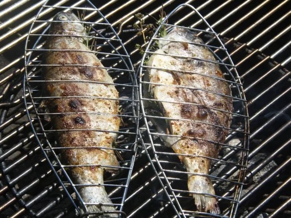 Grillfisch Grundrezept - Rezept