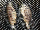 Grillfisch Grundrezept - Rezept