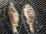 Grillfisch Grundrezept - Rezept