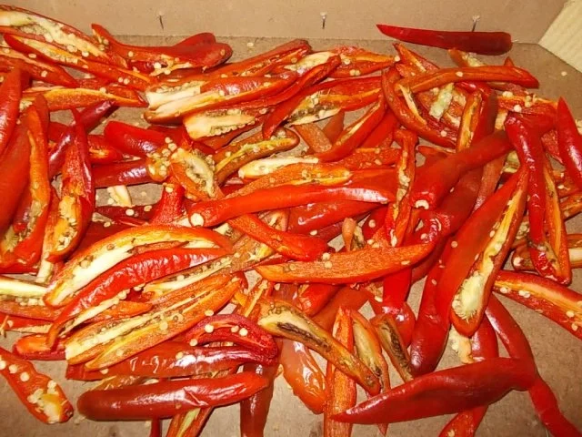 Peperoncino rosso - Rezept - Bild Nr. 3