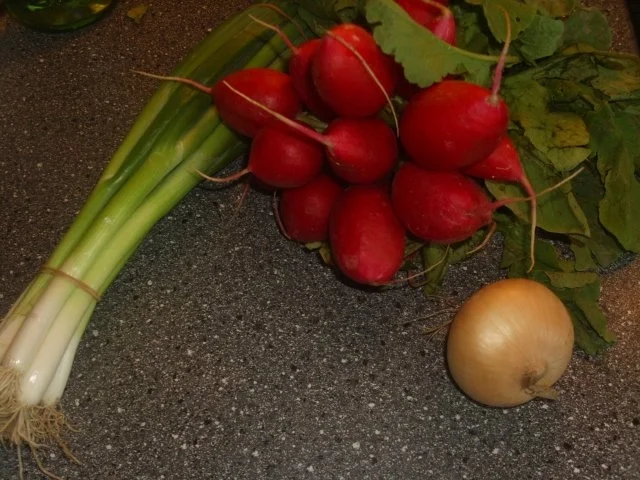 Rezept: Radieschensuppe Bild Nr. 2 Radieschensuppe - Rezept - Bild Nr. 2