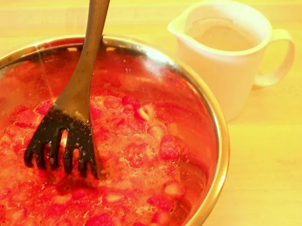 Erdbeersaft - Rezept - Bild Nr. 4