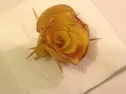 Rose - Ein Dankeschön - Rezept
