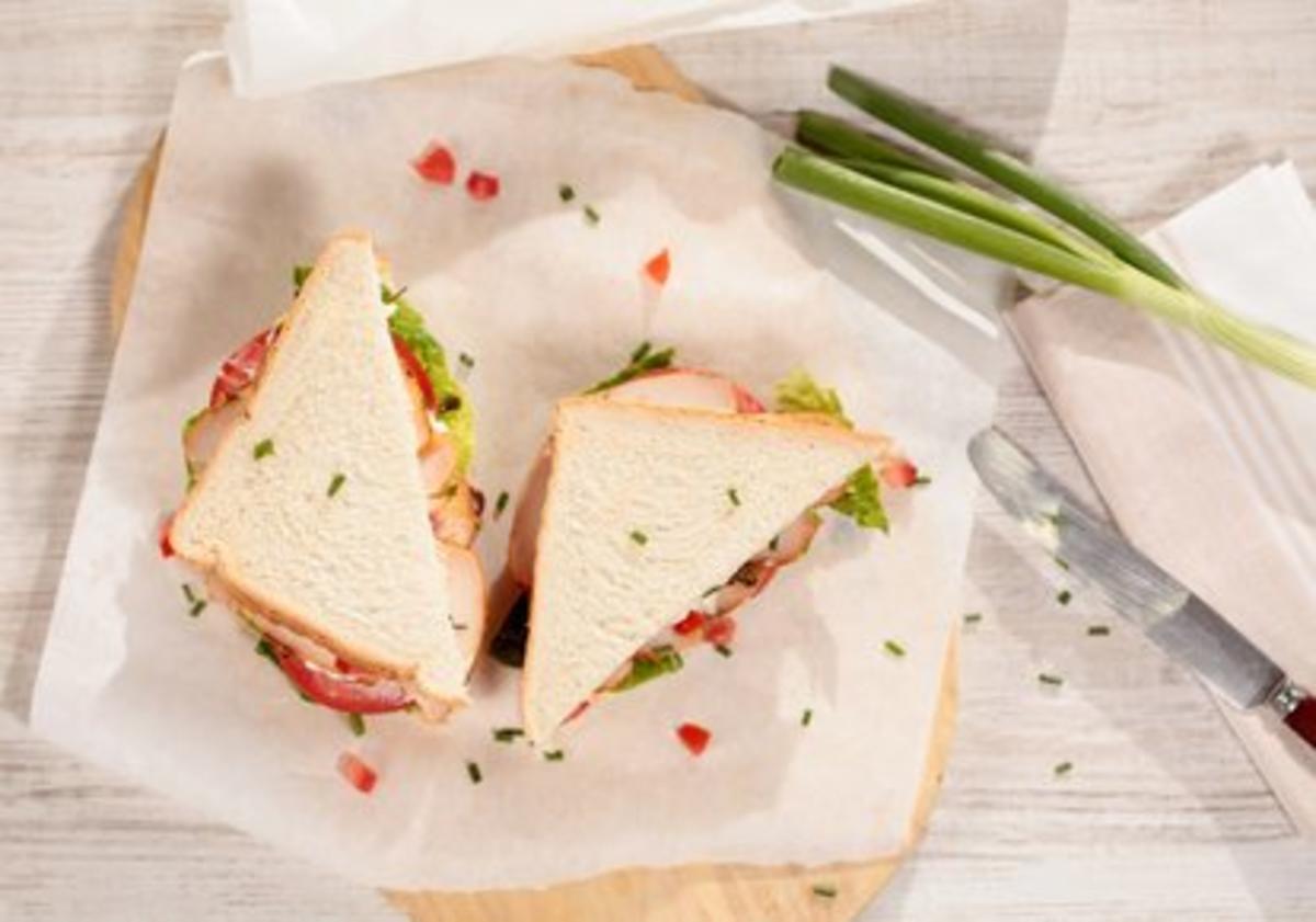 Eine Zusammenfassung der favoritisierten Rezepte für sandwichmaker