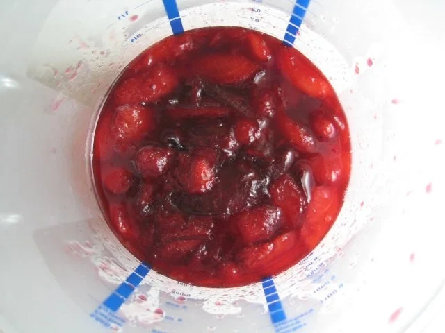 Zwetschgen-Sorbet - Rezept - Bild Nr. 8