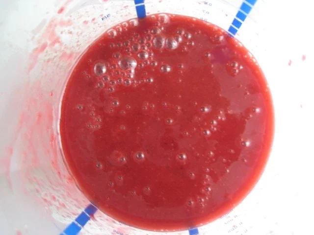 Zwetschgen-Sorbet - Rezept - Bild Nr. 9