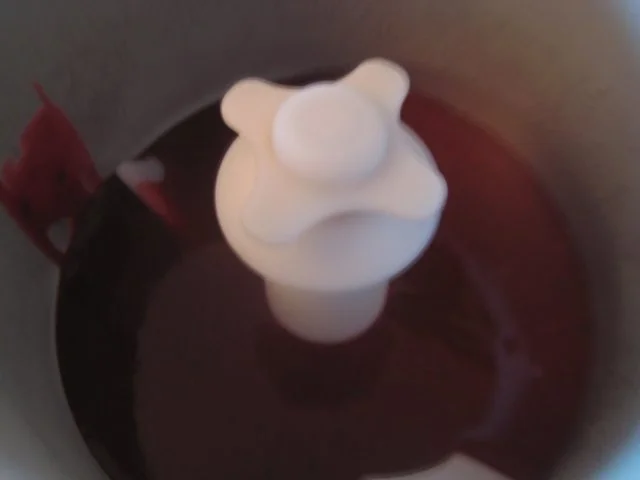 Zwetschgen-Sorbet - Rezept - Bild Nr. 10