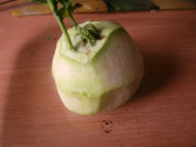 Rezept: Kartoffel - Kohlrabi Gratin mit Frischkäse - Hackfleischsauce Bild Nr. 5 Kartoffel - Kohlrabi Gratin mit Frischkäse - Hackfleischsauce - Rezept - Bild Nr. 5