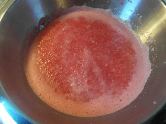 Melonen-Ingwer-Sorbet - Rezept - Bild Nr. 3