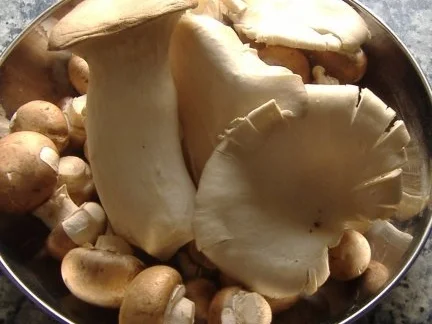 Hühnchen mit Pilzen - Rezept - Bild Nr. 3