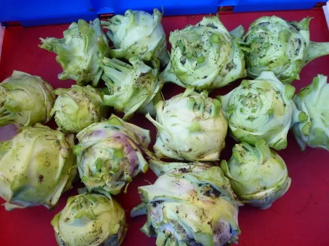 Rezept: Würzige panierte Kohlrabihalbmonde Bild Nr. 4 Würzige panierte Kohlrabihalbmonde - Rezept - Bild Nr. 4