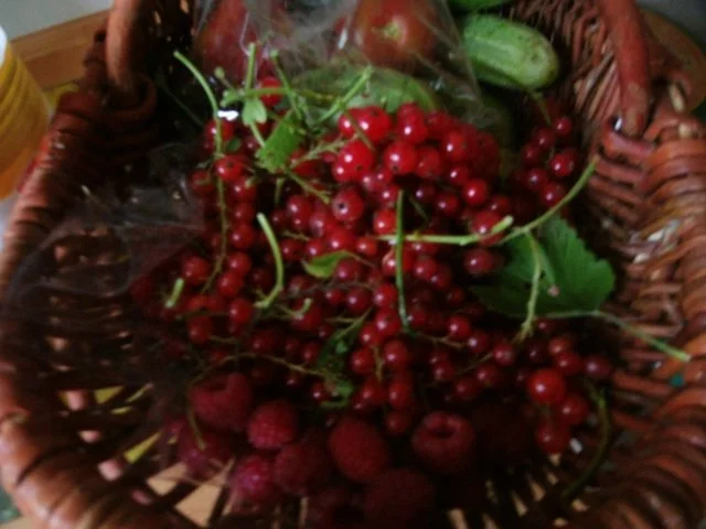 Johannisbeer-Muffin - Rezept - Bild Nr. 4